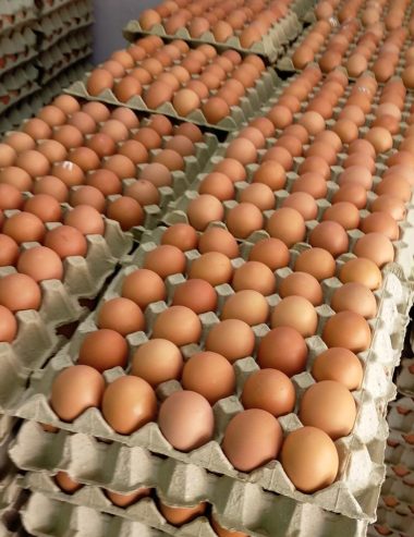 Subsidi Dan Kawalan Harga Telur Ayam Ditamatkan Bermula Esok