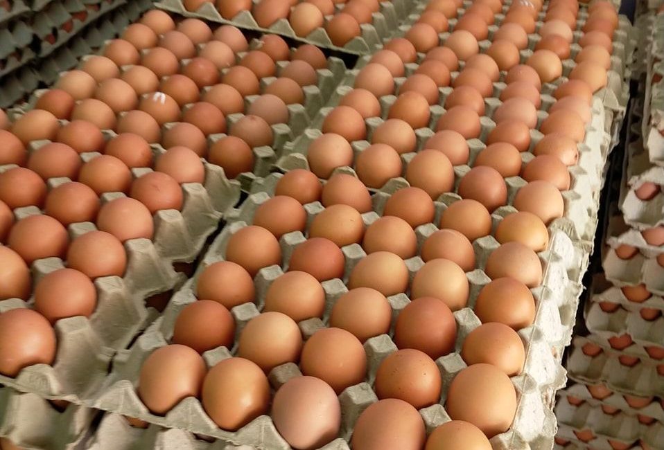 Subsidi Dan Kawalan Harga Telur Ayam Ditamatkan Bermula Esok